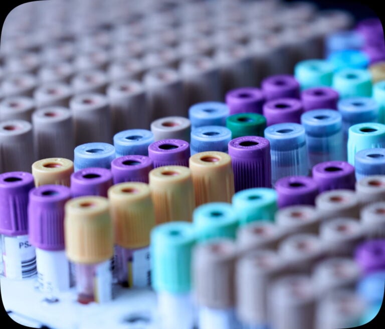 Our Laboratory